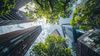 London Climate Action Week: Finance Live | Show 3 - How are transition plans