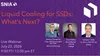 Liquid Cooling for SSDs: What’s Next? 
