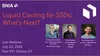 Liquid Cooling for SSDs: What’s Next? 