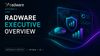 Radware Executive Overview 