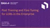 Post Training and Fine Tuning for LLMs in the Enterprise 