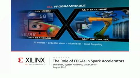 The Role of FPGAs in SparK Accelerators