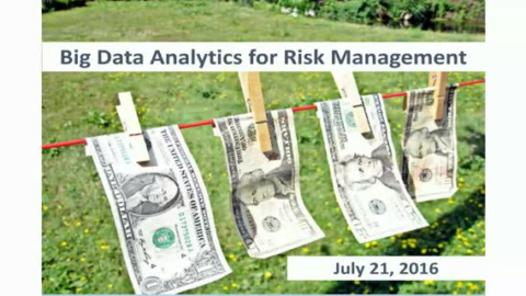 Big Data Analytics for Risk Management