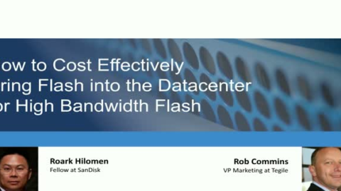 Bringing Flash into the Datacenter for Bandwidth-Intensive Applications
