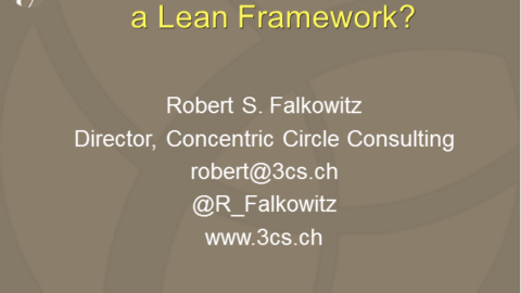 Who is Process Owner in a Lean Framework?