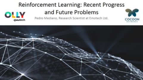 Reinforcement Learning: Recent Progress and Future Problems
