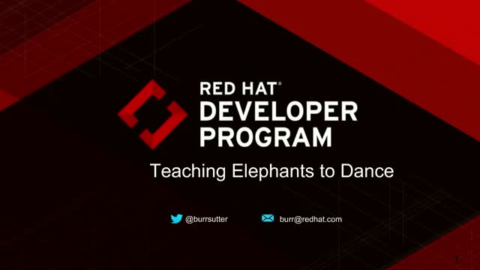 Teaching Elephants to Dance: Leading Digital Transformation with Microservices