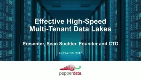 Effective High-Speed Multi-Tenant Data Lakes