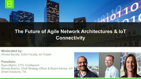 The Future of Agile Network Architectures &amp; IoT Connectivity