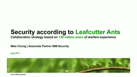 Security According to Leafcutter Ants