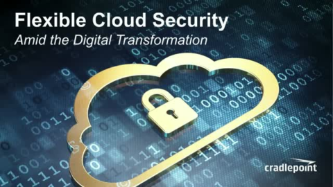 Flexible Cloud Security Amid the Digital Transformation