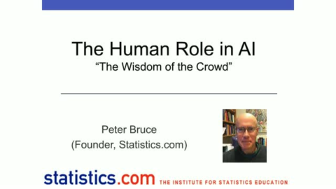 The Human Role in AI