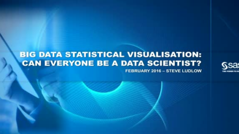 Big Data Statistical Visualisation: can everyone be a Data Scientist?