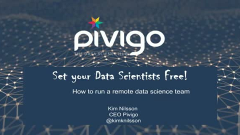 Set your Data Scientists Free! How to run a remote data science team
