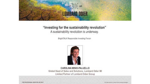 Investing for the Sustainability Revolution