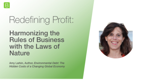 Redefining Profit: Harmonising the Rules of Business with the Laws of Nature
