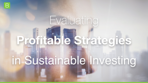 [Panel]: Evaluating Profitable Strategies in Sustainable Investing