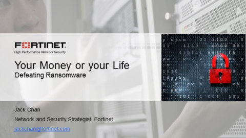 Your Money or Your Life: Defeating Ransomware