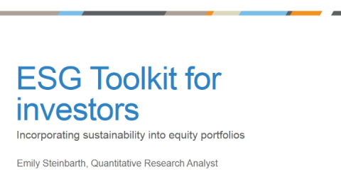 ESG Toolkit for Investors: Incorporating Sustainability into Equity Portfolios