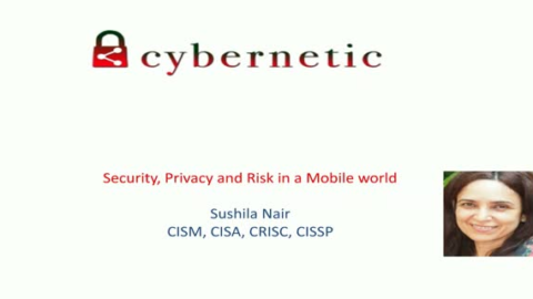 Security, Privacy and Risk in a Mobile World