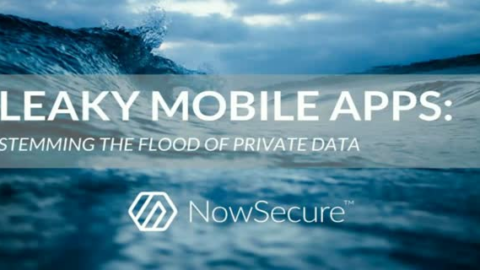 Leaky Mobile Apps: Stemming the Flood of Private Data