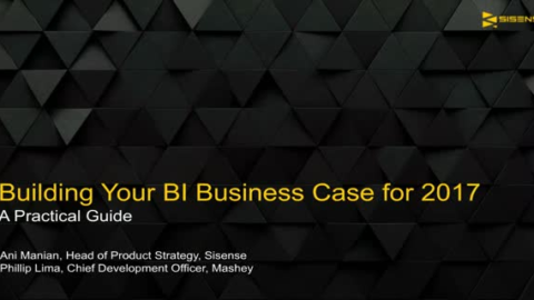 A Practical Guide: Building your BI Business Case for 2017