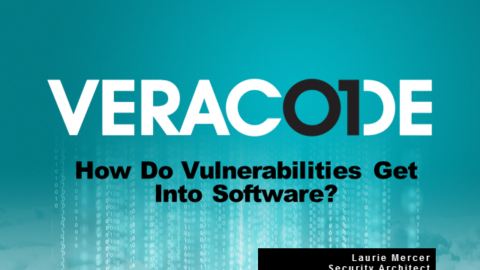 How do vulnerabilities get into software?