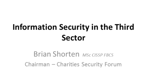 Information Security in the Third Sector