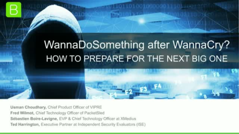 WannaDoSomething after WannaCry? How to Prepare for the Next Big One