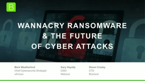 Wannacry Ransomware &amp; The Future of Cyber Attacks