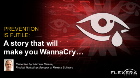 Prevention is futile: A story that will make you WannaCry…