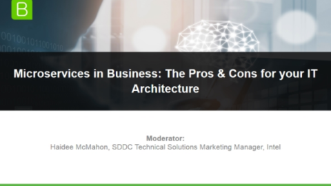 Microservices in Business: The Pros &amp; Cons for your IT Architecture