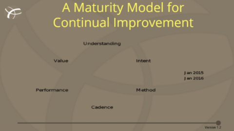 Continual Service Improvement Maturity Model