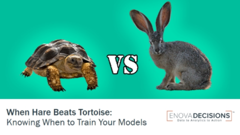 When Hare Beats Tortoise: Knowing When to Train Your Predictive Models