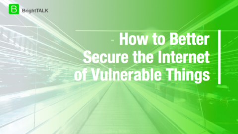 How to Better Secure the Internet of Vulnerable Things