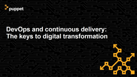 DevOps and Continuous Delivery: The Keys to Digital Transformation