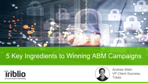 5 Key Ingredients to Winning ABM Campaigns