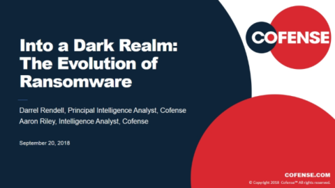 Into a Dark Realm: The Evolution of Ransomware