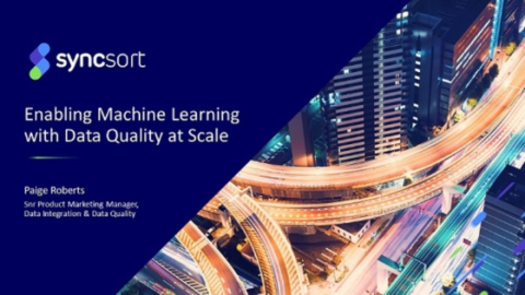 Enabling Machine Learning with Data Quality at Scale