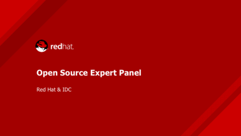 Open Source Expert Panel (Red Hat &amp; IDC)
