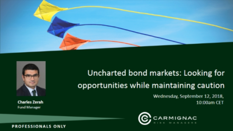 Uncharted Bond Markets: Looking For Opportunities While Maintaining Caution