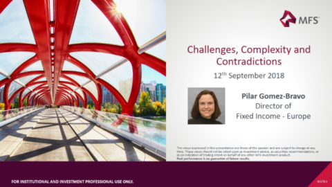 Fixed Income &#8211; Challenges, Complexities &amp; Contradictions