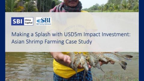 Making a Splash with USD5m Impact Investment: Asian Shrimp Farming Case Study