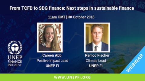 From TCFD to SDG Finance: Next Steps in Sustainable Finance