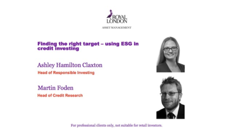 Finding the right target – using ESG in credit investing