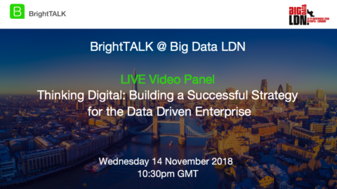 Thinking Digital: Building a Successful Strategy for the Data-Driven Enterprise