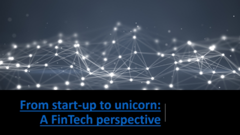 From start-up to unicorn: A FinTech perspective