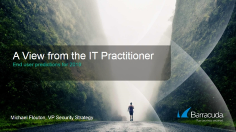 A View from the IT Practitioner: End User Predictions for 2019