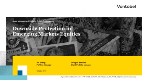 Downside Protection in Emerging Markets Equities