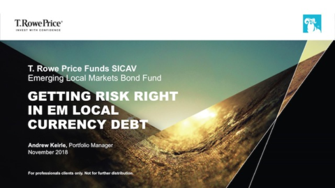 Getting Risk Right in EM Local Currency Debt